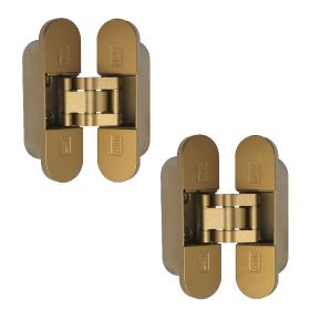 DX Invisible 3D hinge satin bronzed 2pc -Color satin bronzed